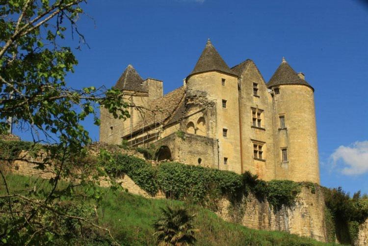 Petite Maison En Pierre Au Coeur Du Perigord Noir Proche De Sarlat Et Rocamadour Salignac Eyvigues ภายนอก รูปภาพ