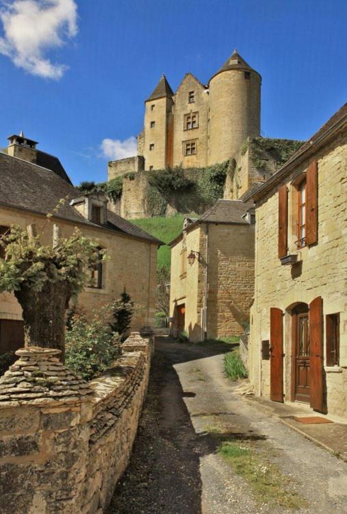 Petite Maison En Pierre Au Coeur Du Perigord Noir Proche De Sarlat Et Rocamadour Salignac Eyvigues ภายนอก รูปภาพ