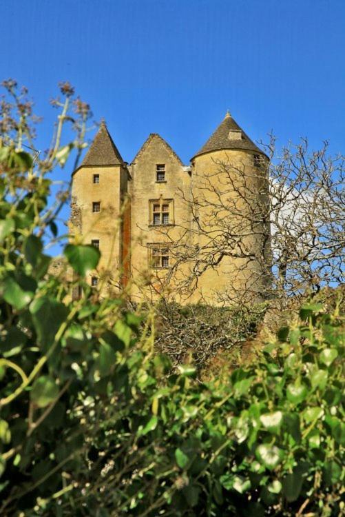 Petite Maison En Pierre Au Coeur Du Perigord Noir Proche De Sarlat Et Rocamadour Salignac Eyvigues ภายนอก รูปภาพ